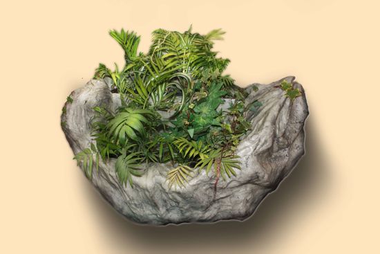 Основное изображение 1 - Фитостена "Nature space medium"