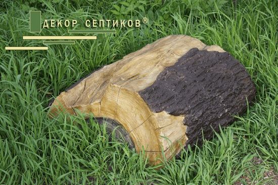 Основное изображение 1 - Декоративная крышка Спил дерева 80x70/30