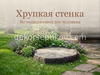 Малое изображение 1 - Декоративная крышка Пень-Лайт D75/10